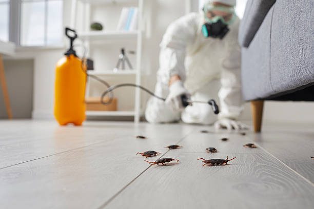 Trusted Emergency Pest Control service in Suncook, NH - Nex Pest Control