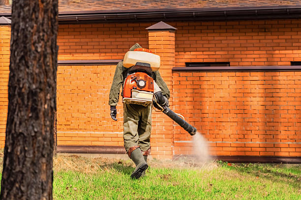 Trusted Termite Control service in Suncook, NH - Nex Pest Control